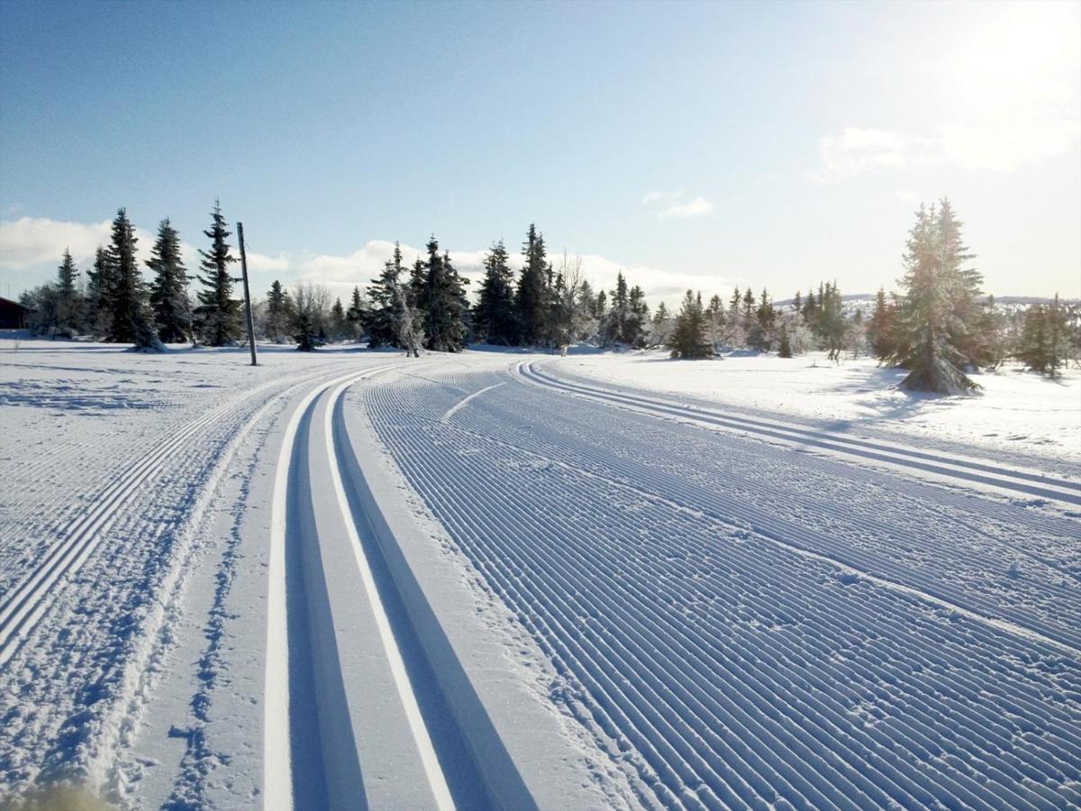 Ski And Bike-In And Out ฮาฟเฟียล ภายนอก รูปภาพ